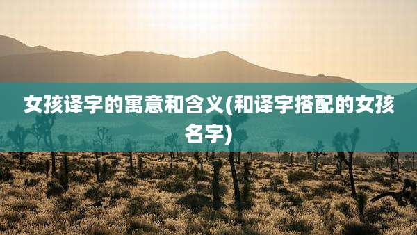 女孩译字的寓意和含义(和译字搭配的女孩名字)