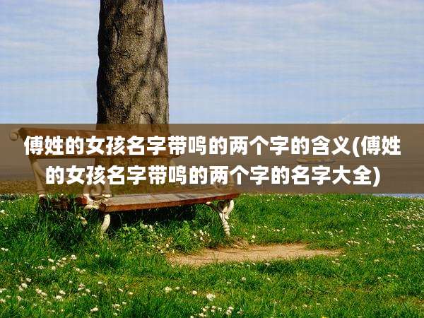 傅姓的女孩名字带鸣的两个字的含义(傅姓的女孩名字带鸣的两个字的名字大全)