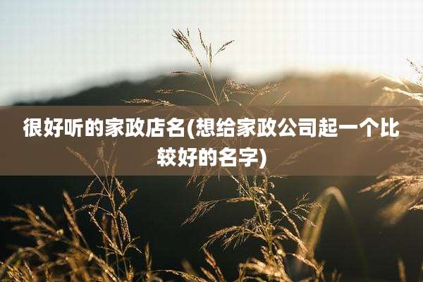 很好听的家政店名(想给家政公司起一个比较好的名字)