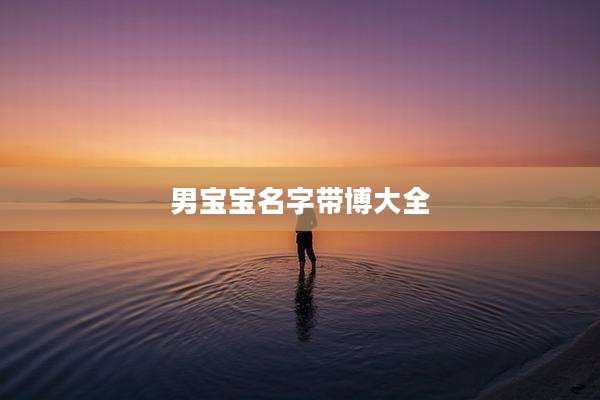 男宝宝名字带博大全