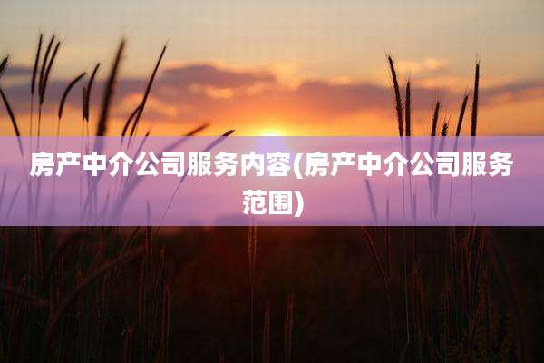 房产中介公司服务内容(房产中介公司服务范围)