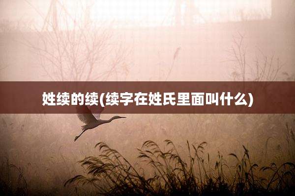 姓续的续(续字在姓氏里面叫什么)