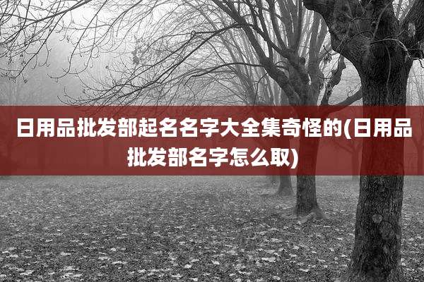 日用品批发部起名名字大全集奇怪的(日用品批发部名字怎么取)