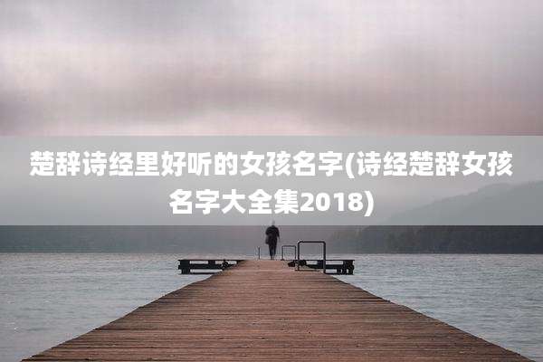 楚辞诗经里好听的女孩名字(诗经楚辞女孩名字大全集2018)