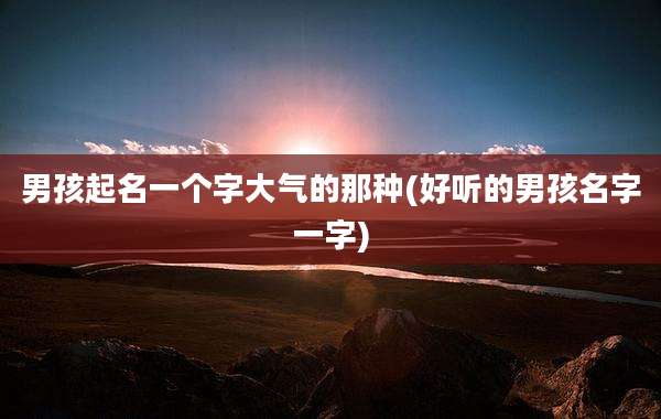 男孩起名一个字大气的那种(好听的男孩名字一字)