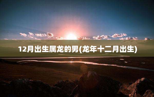 12月出生属龙的男(龙年十二月出生)