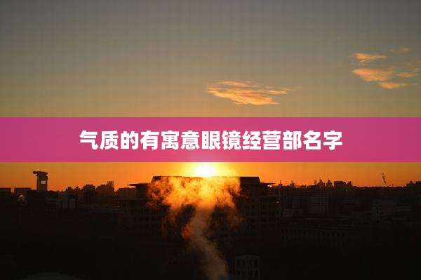 气质的有寓意眼镜经营部名字
