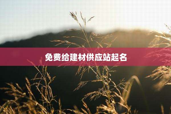 免费给建材供应站起名