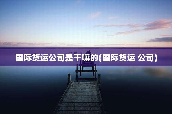 国际货运公司是干嘛的(国际货运 公司)