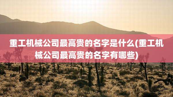 重工机械公司最高贵的名字是什么(重工机械公司最高贵的名字有哪些)
