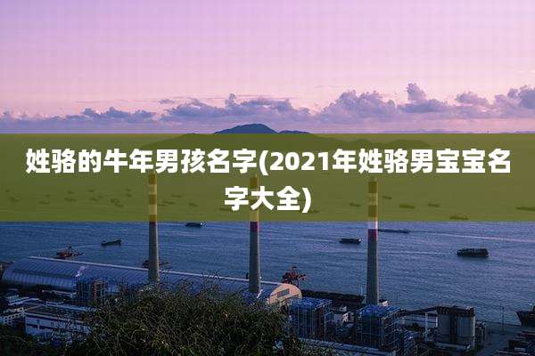 姓骆的牛年男孩名字(2021年姓骆男宝宝名字大全)