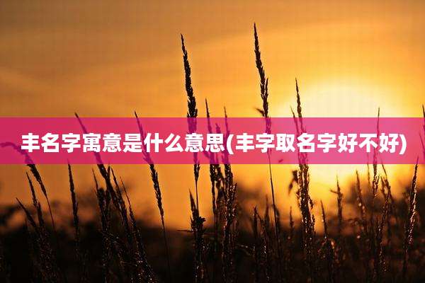 丰名字寓意是什么意思(丰字取名字好不好)