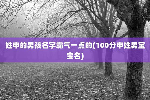 姓申的男孩名字霸气一点的(100分申姓男宝宝名)