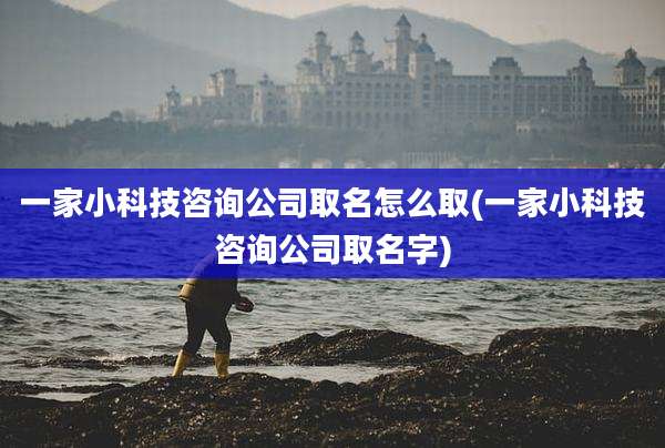 一家小科技咨询公司取名怎么取(一家小科技咨询公司取名字)