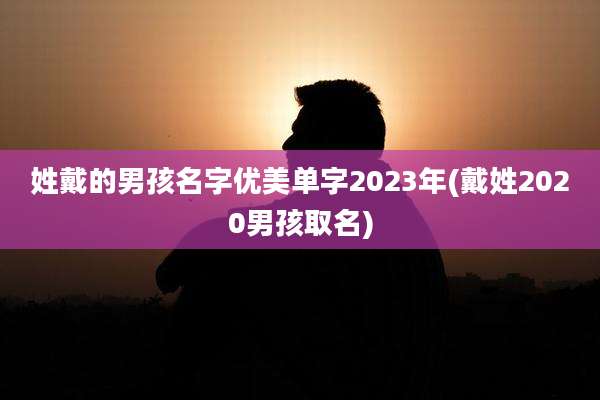 姓戴的男孩名字优美单字2023年(戴姓2020男孩取名)