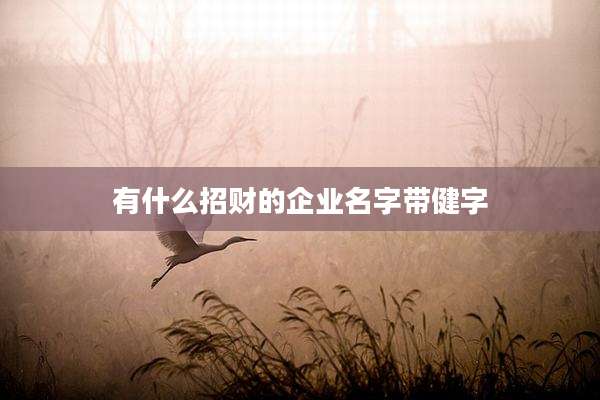 有什么招财的企业名字带健字