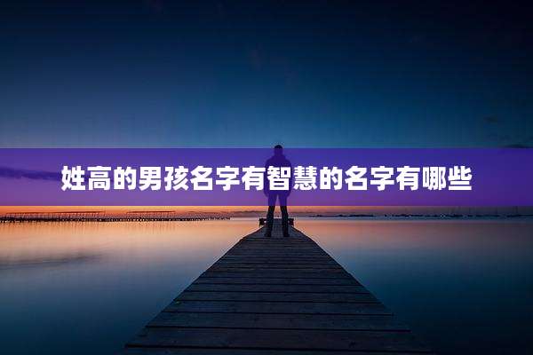 姓高的男孩名字有智慧的名字有哪些