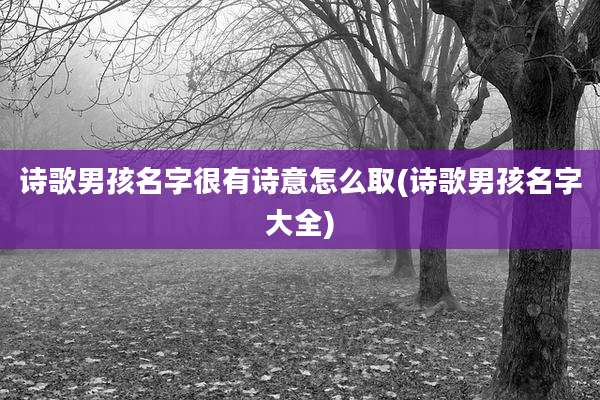 诗歌男孩名字很有诗意怎么取(诗歌男孩名字大全)
