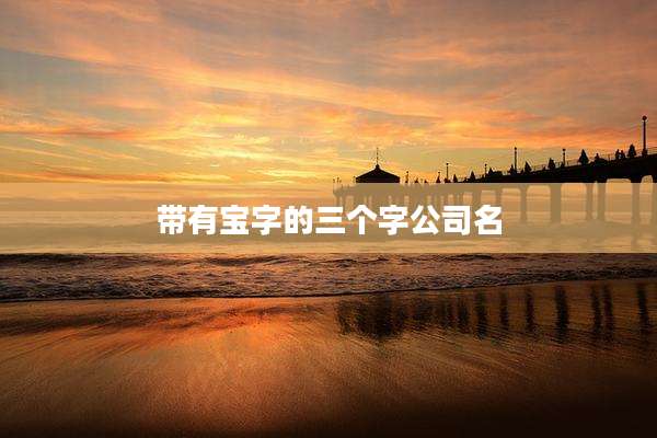 带有宝字的三个字公司名