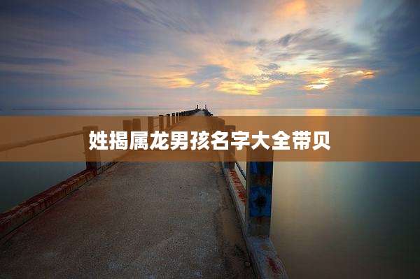 姓揭属龙男孩名字大全带贝