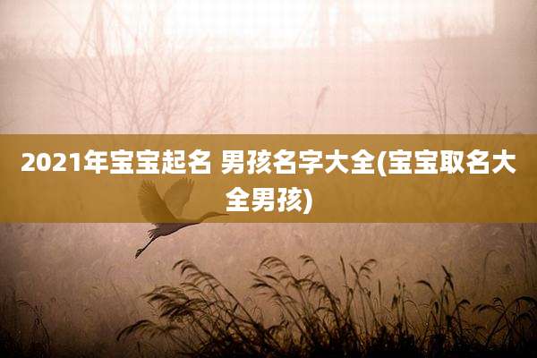 2021年宝宝起名 男孩名字大全(宝宝取名大全男孩)