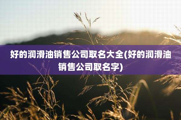 好的润滑油销售公司取名大全(好的润滑油销售公司取名字)