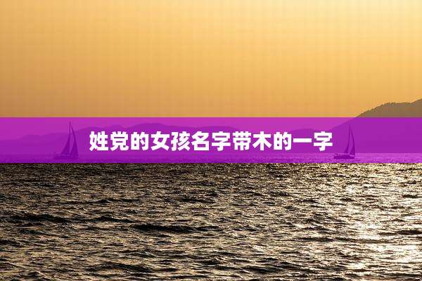 姓党的女孩名字带木的一字