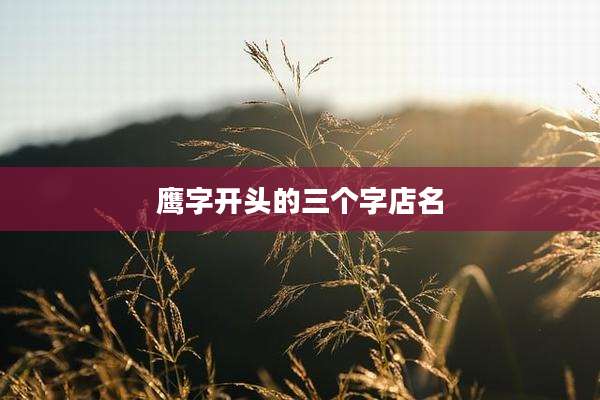 鹰字开头的三个字店名