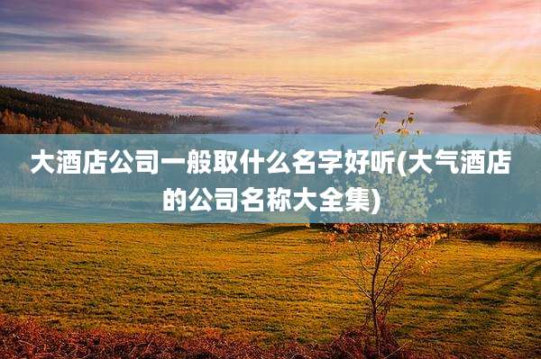 大酒店公司一般取什么名字好听(大气酒店的公司名称大全集)