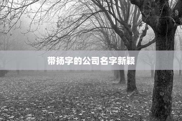 带扬字的公司名字新颖
