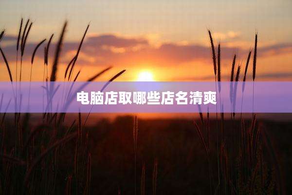 电脑店取哪些店名清爽