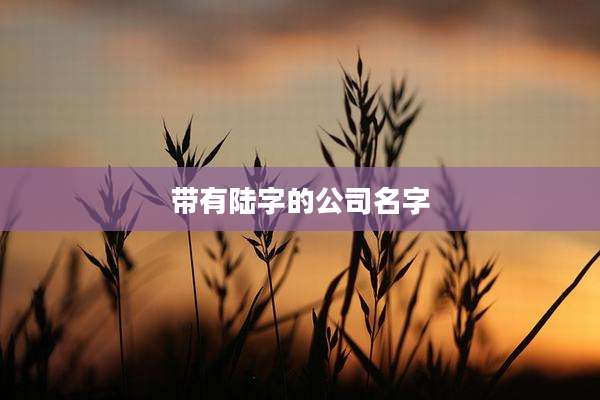 带有陆字的公司名字