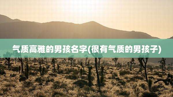 气质高雅的男孩名字(很有气质的男孩子)