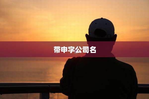 带申字公司名
