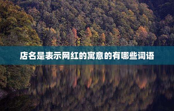店名是表示网红的寓意的有哪些词语