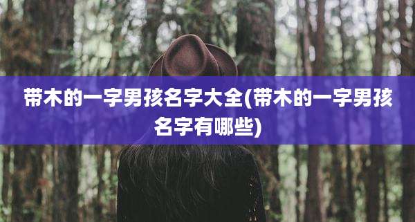 带木的一字男孩名字大全(带木的一字男孩名字有哪些)