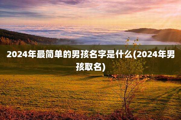 2024年最简单的男孩名字是什么(2024年男孩取名)