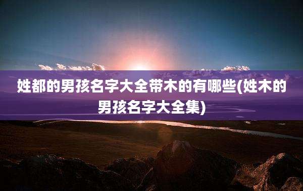 姓都的男孩名字大全带木的有哪些(姓木的男孩名字大全集)