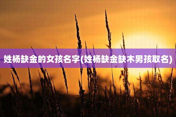姓杨缺金的女孩名字(姓杨缺金缺木男孩取名)