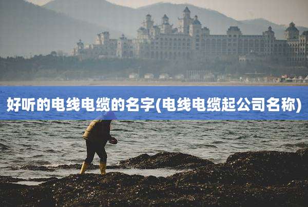 好听的电线电缆的名字(电线电缆起公司名称)