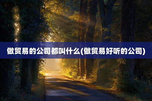 做贸易的公司都叫什么(做贸易好听的公司)