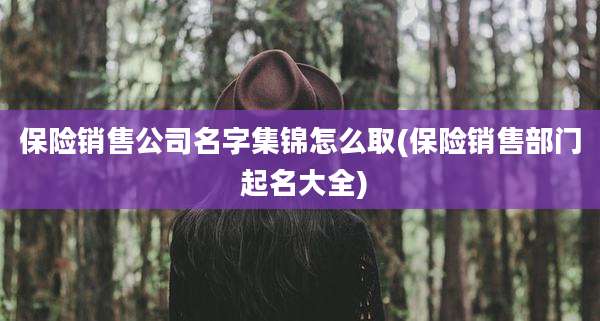 保险销售公司名字集锦怎么取(保险销售部门 起名大全)