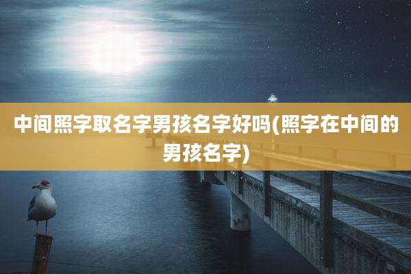 中间照字取名字男孩名字好吗(照字在中间的男孩名字)