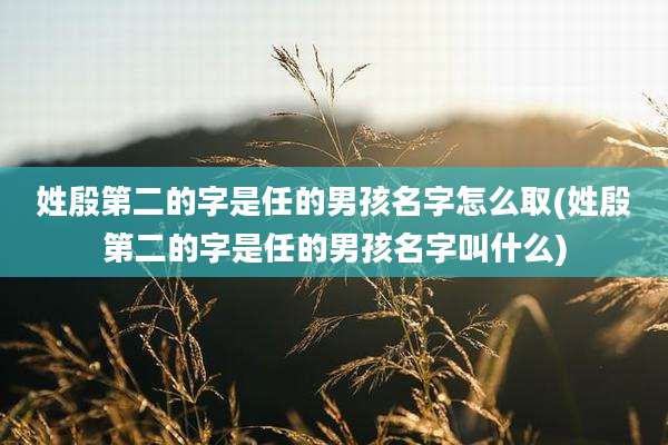 姓殷第二的字是任的男孩名字怎么取(姓殷第二的字是任的男孩名字叫什么)