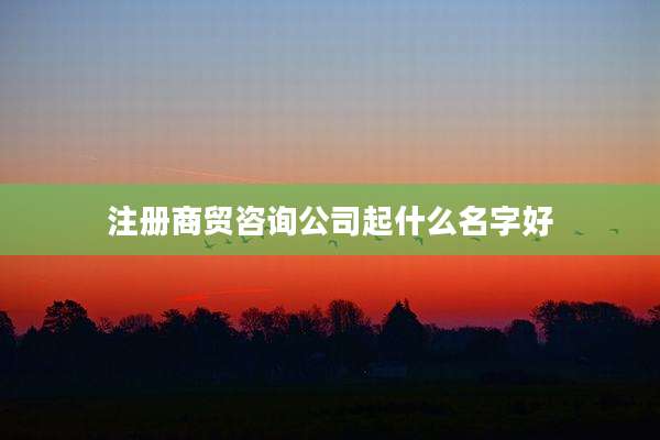 注册商贸咨询公司起什么名字好
