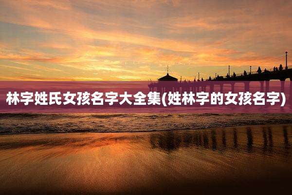 林字姓氏女孩名字大全集(姓林字的女孩名字)