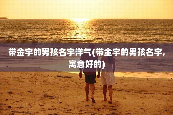 带金字的男孩名字洋气(带金字的男孩名字,寓意好的)