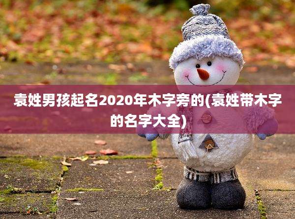 袁姓男孩起名2020年木字旁的(袁姓带木字的名字大全)
