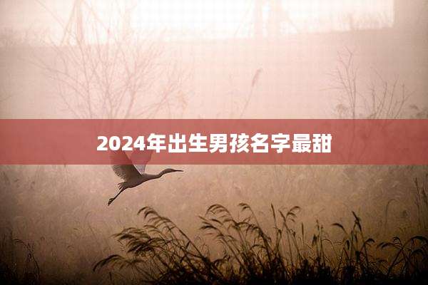 2024年出生男孩名字最甜