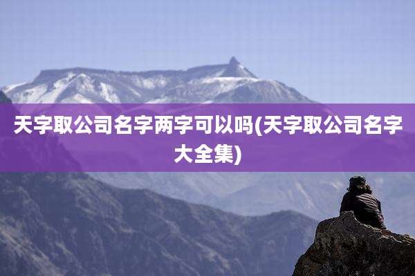 天字取公司名字两字可以吗(天字取公司名字大全集)